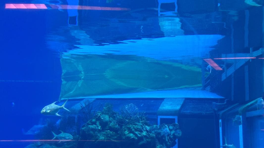 Construction Underway on Former EPCOT Dolphin Tank