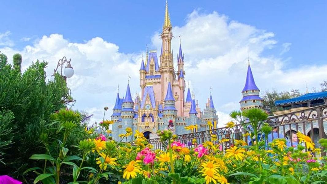 The 50 Best Ways to Celebrate Disney World’s 50th Anniversary