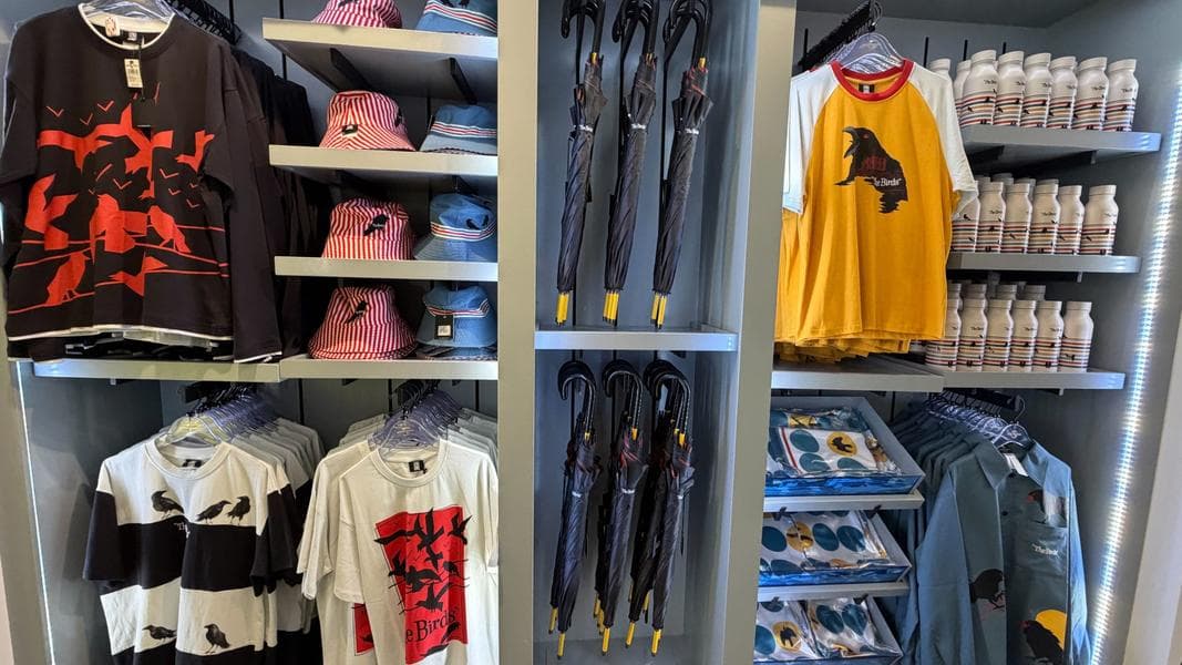 New Pink Paint on Cinderella Castle Ahead of Repainting Project in Today’s Daily Recap for 1/23/2026