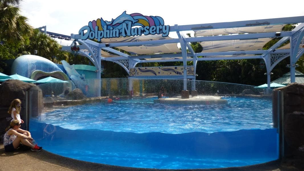 SeaWorld Orlando Update: Dolphin Nursery & Flamecraft Bar Now Open and Infinity Falls Construction