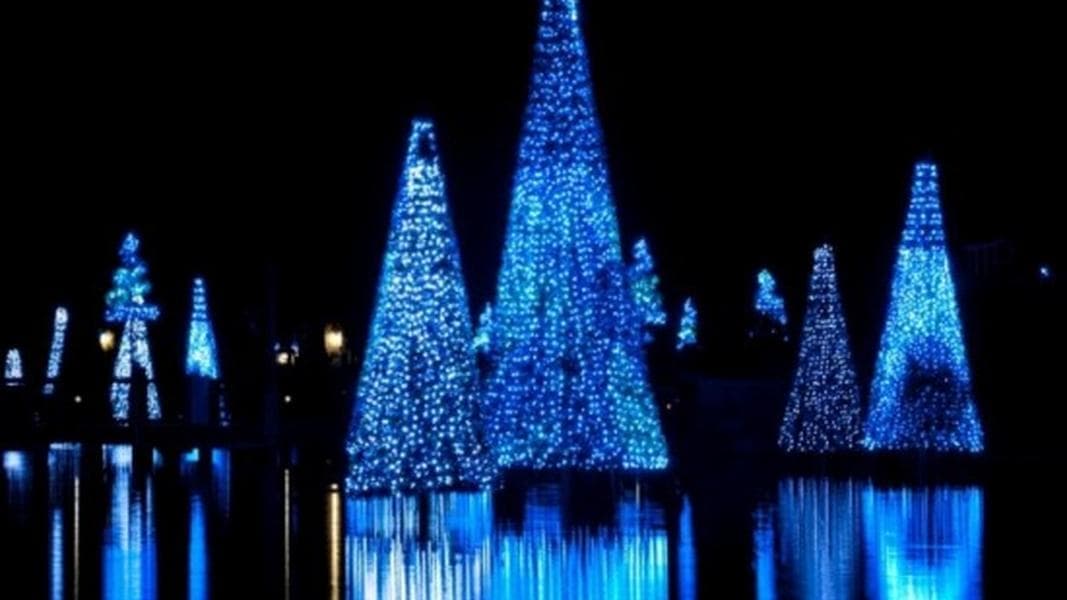 Elmo, Santa and Shamu will be a part of this years holiday celebrations at SeaWorld