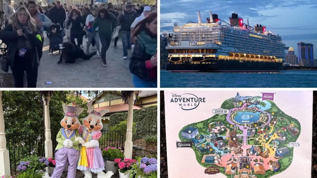 World of Frozen Hits Capacity, Crowds Surge on Opening Day of Disney Adventure World in Today’s Daily Recap for 3/29/2026