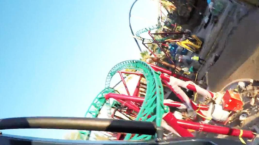 Take a Ride on Cobra’s Curse at Busch Gardens Tampa
