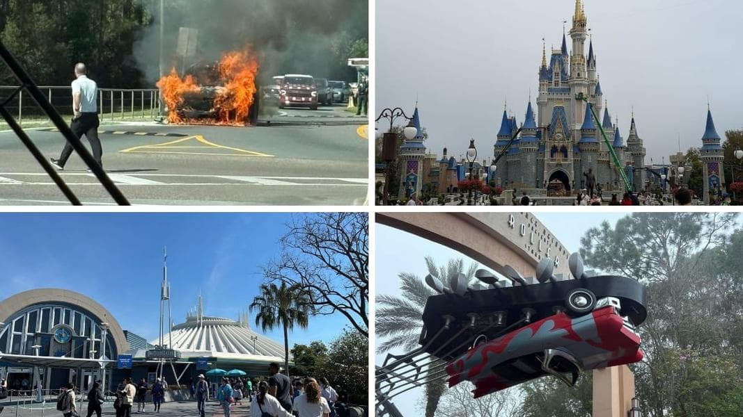 Car Engulfed in Flames Near Disney’s Animal Kingdom Parking Lot in Today’s Daily Recap for 3/9/2026