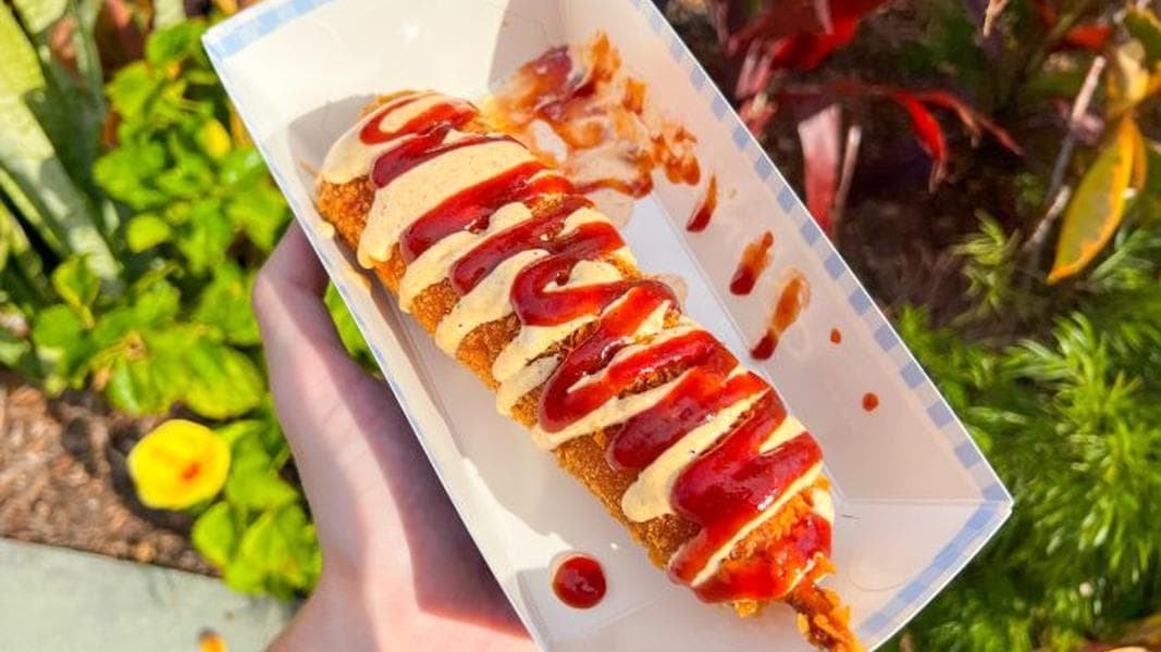 REVIEW: We Literally Gasped When This Disney Cast Member Served Our Corn Dog