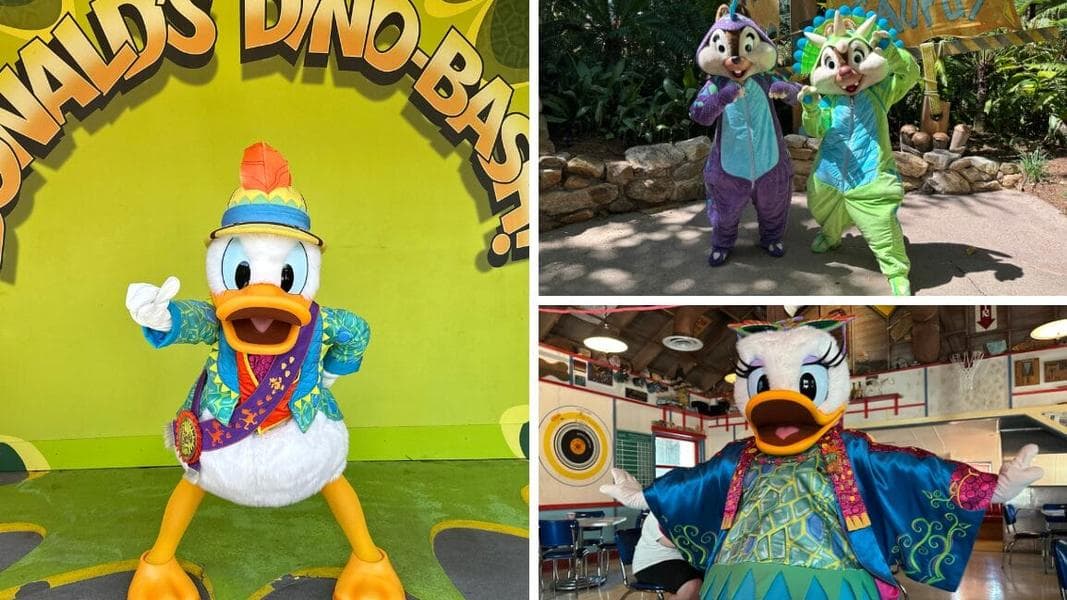 BREAKING: Donald Duck, Daisy, Chip & Dale Meet & Greets Moving at Disney’s Animal Kingdom