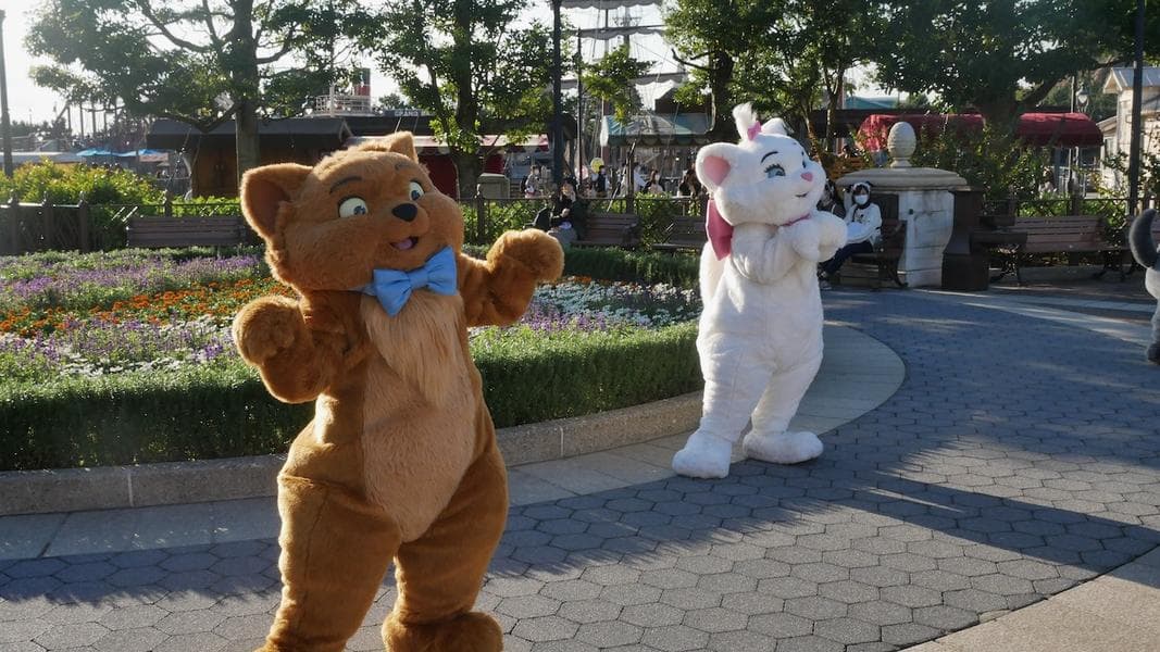 PHOTO REPORT: Tokyo DisneySea 11/4/20 (Mt. Prometheus Refurb Complete, Harbor Pit Open, Pixar Greeting, and MORE!)