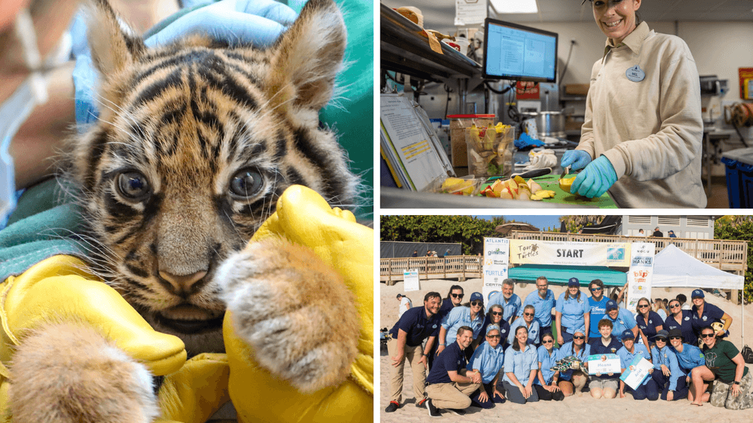Inside the Animal Care and Conservation Work at Disney’s Animal Kingdom