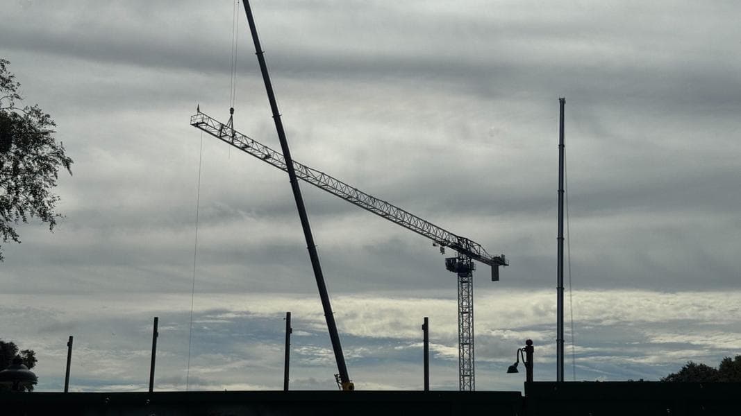 Tower Crane Installed at Disney’s Animal Kingdom for Encanto Ride Construction