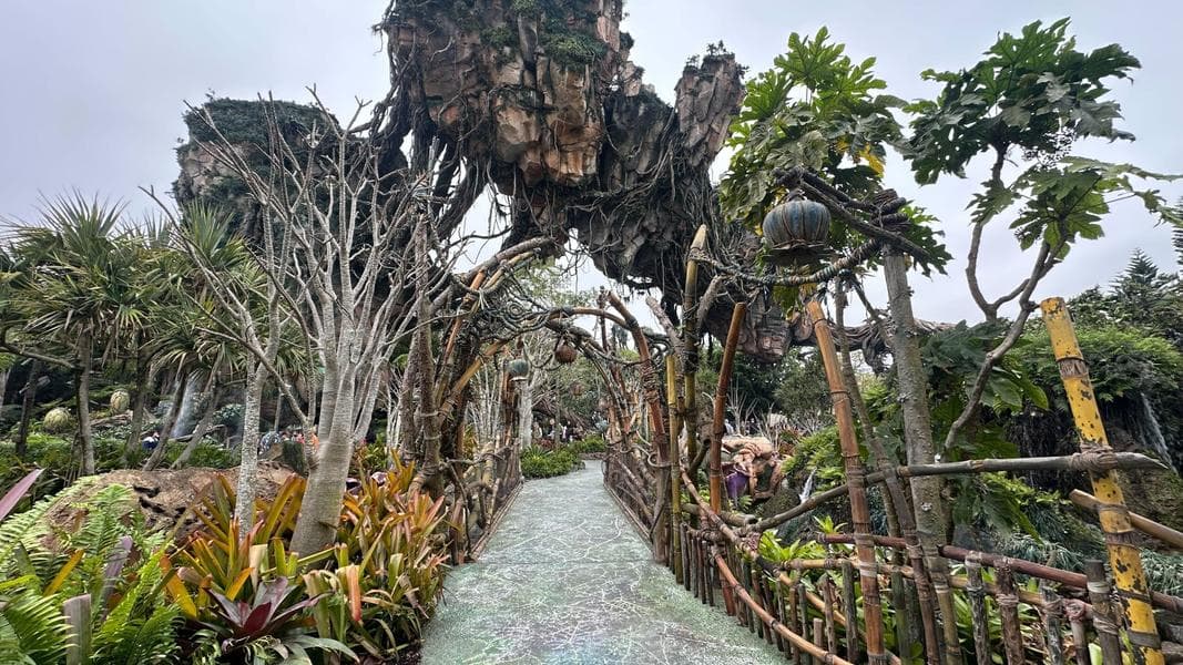 Pandora – The World of Avatar Paths Reopen After Bioluminescent Paint Refreshed