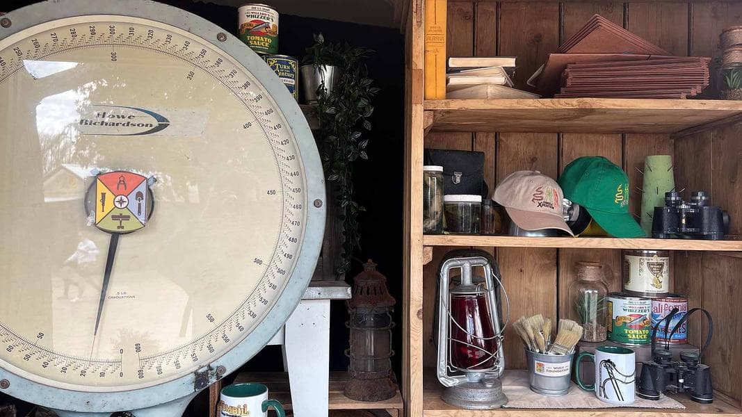 The Not-So-Hidden Details of Jungle X-Pedition at Kings Dominion