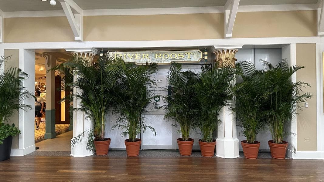 Part of River Roost Bar Closed at Disney’s Port Orleans Riverside