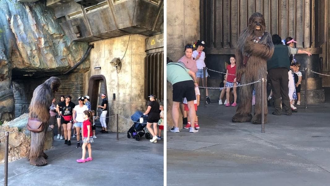 The Star Wars Chewbacca Meet and Greet Has Changed in Galaxy’s Edge After Launch Bay Closure