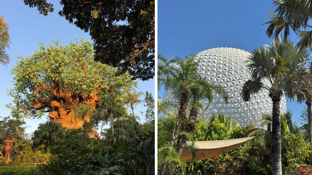 PHOTO REPORT: Disney’s Animal Kingdom, EPCOT, and Universal Studios Florida 3/15/2025  (Tough to Be a Bug, Nana’s Snack Recommendations from Japan Pavilion and USF’s Facial Recognition Failure)