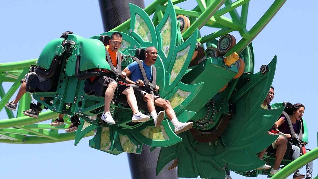 La Ronde Announces “Vipère” for 2020