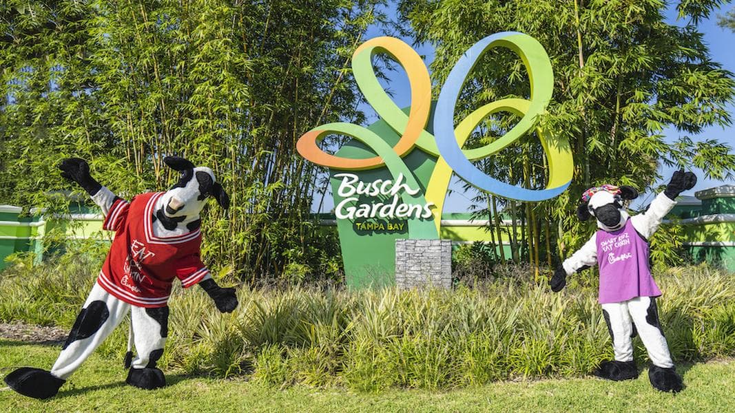 Florida’s first theme park Chick-Fil-A location coming to Busch Gardens Tampa