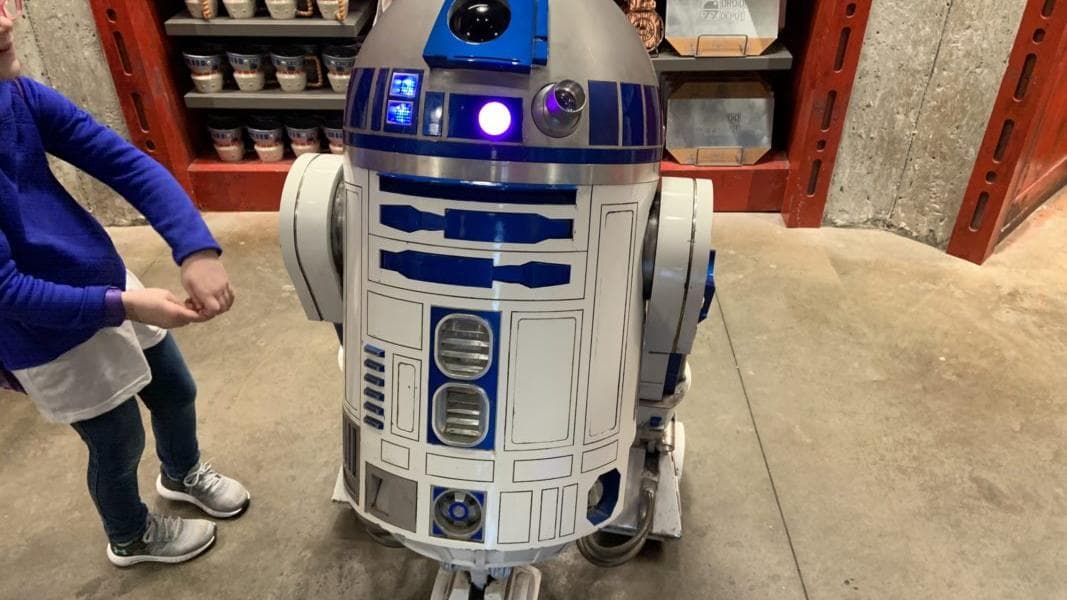 PHOTO REPORT: Disney’s Hollywood Studios 12/22/19 (R2-D2 Surprised Us, Rise of the Resistance, Jedi Stitch, and More)