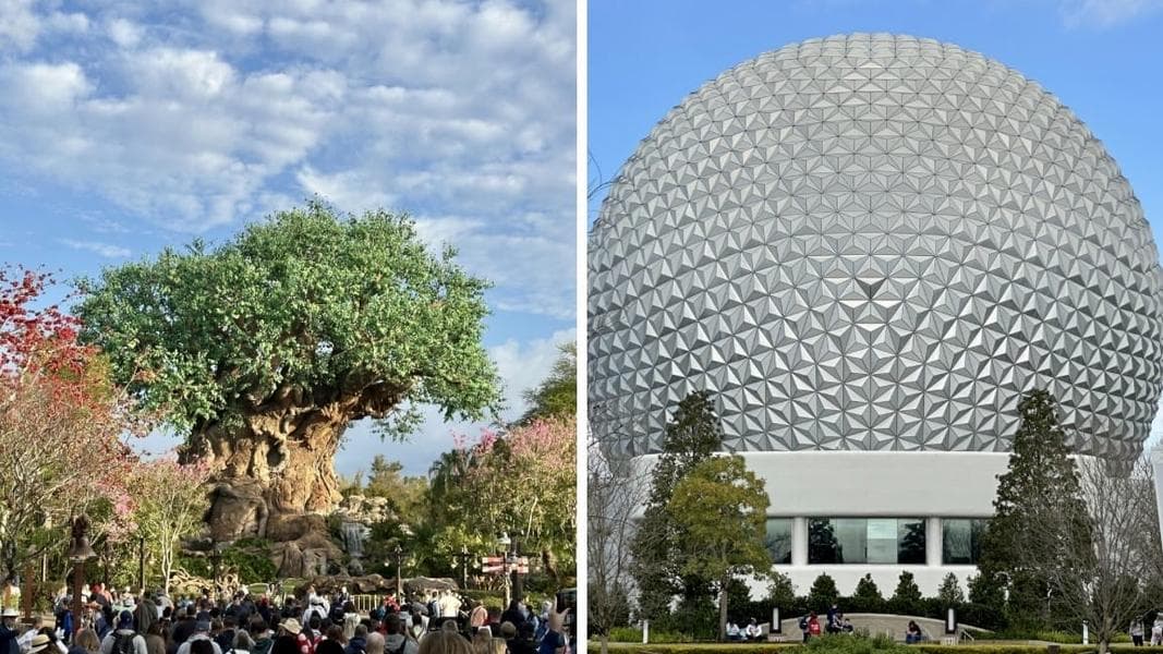 PHOTO REPORT: Disney’s Animal Kingdom and EPCOT 2/18/205 (Pin Tuesday, Fun Merchandise, and Tiny Village Update)