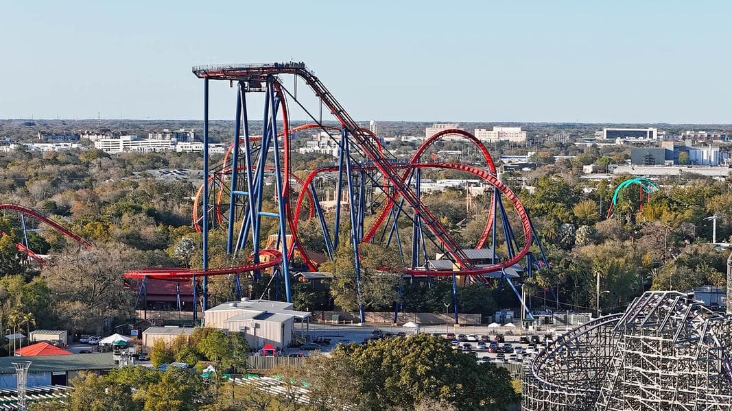 20 in 2025: SheiKra at Busch Gardens Tampa