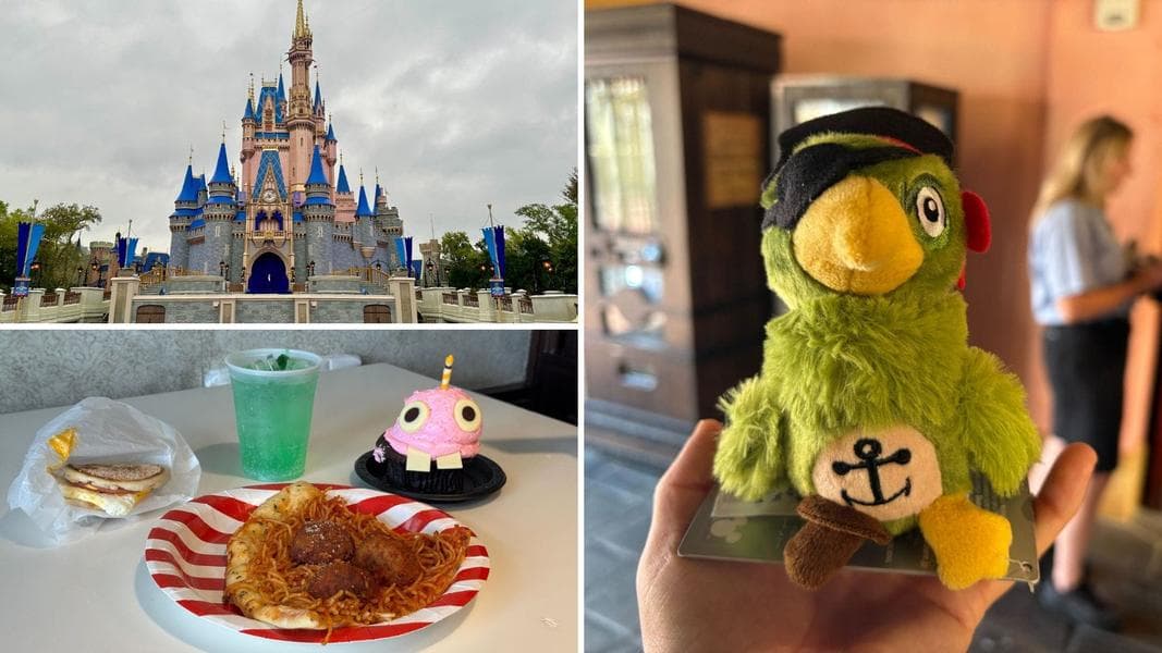 40+ Walt Disney World Attractions Temporarily Closed & More: Daily Recap (8/29/25)