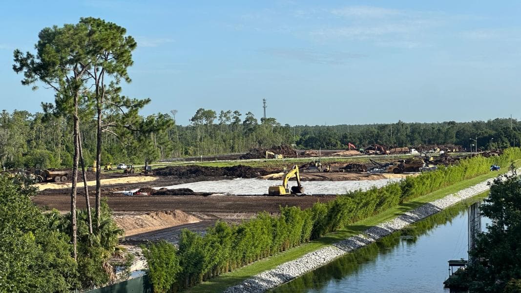 Hundreds of Trees Cut Down For ‘Cars’ Expansion Laydown Yard at Magic Kingdom