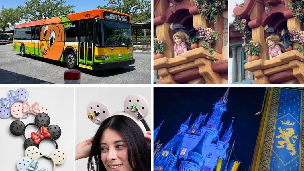 Magic Kingdom Guest Suing Disney Over Arrest During Medical Emergency in Today’s Daily Recap for 4/1/2026