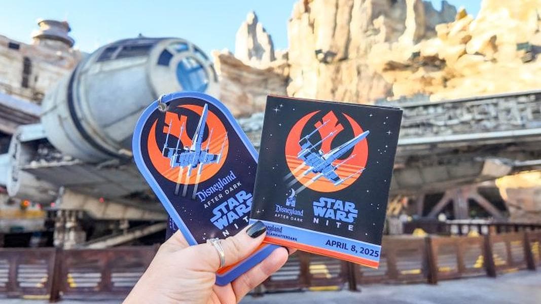 Is Disney’s ‘Star Wars’ Nite Worth the Cost? Here’s Everything We Did in One Night.