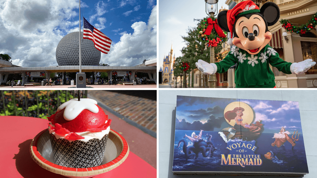 WDWNT Weekly Recap: Fall Treats Arrive at Walt Disney World, Christmas Offerings Announced for the Parks, New Merchandise, and More