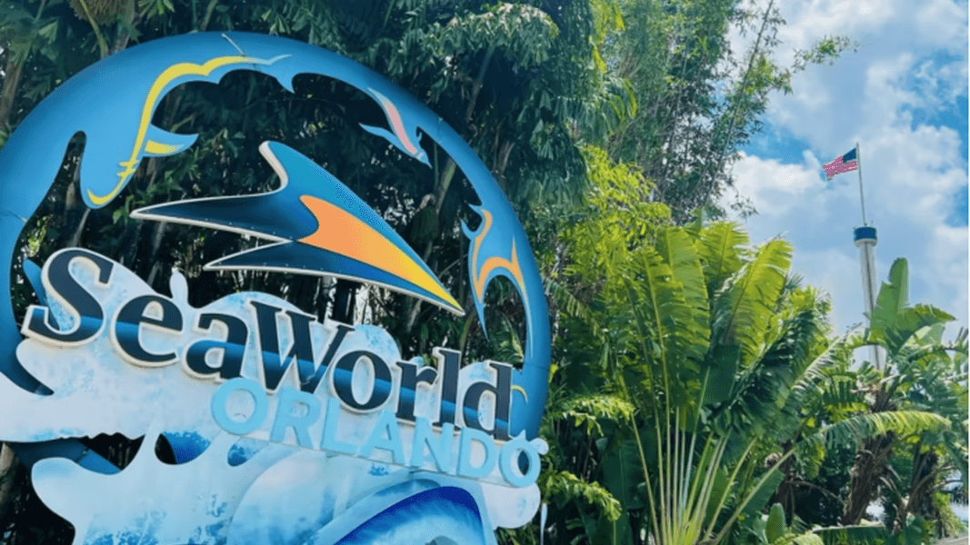 SeaWorld Orlando Is Giving Out FREE Tickets This Summer — But There’s a Catch