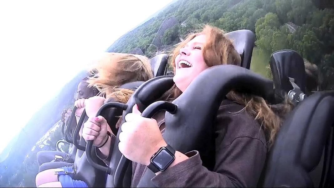 Catwoman Whip and Adventure Cove coming to Six Flags St. Louis