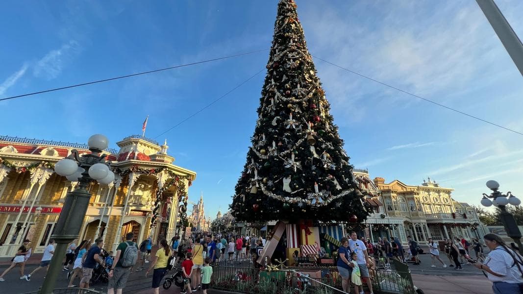 Giant Christmas Tree and More Decór Arrives at Magic Kingdom