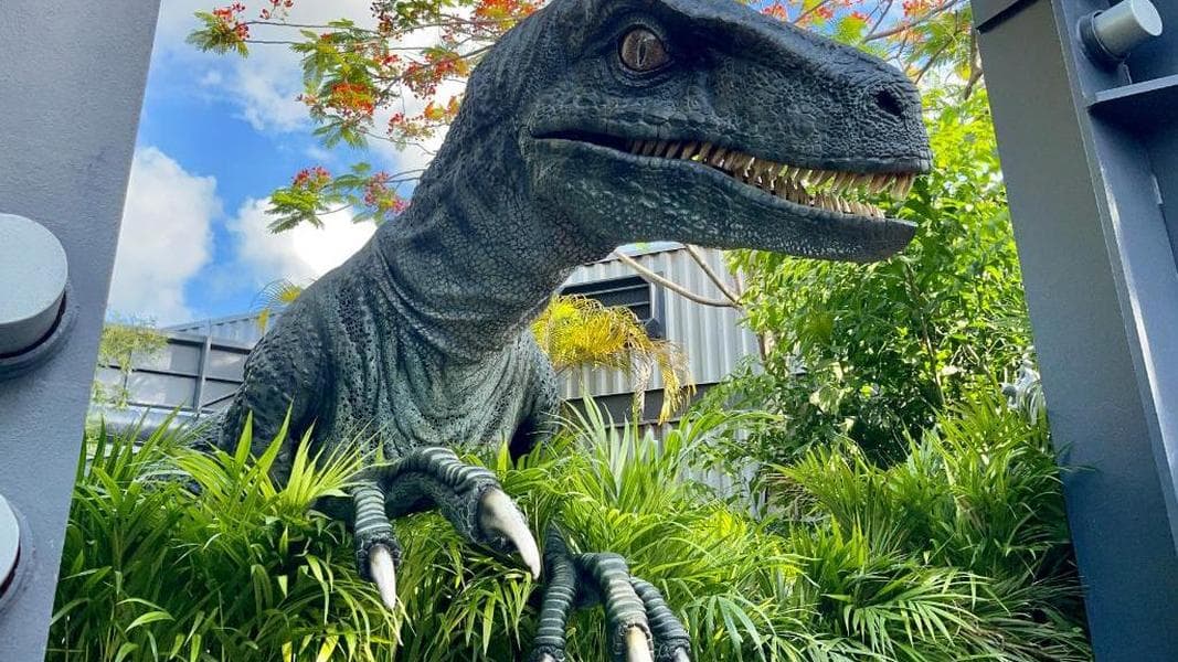 Bravo joins Blue at Jurassic World Raptor Encounter at Universal Orlando