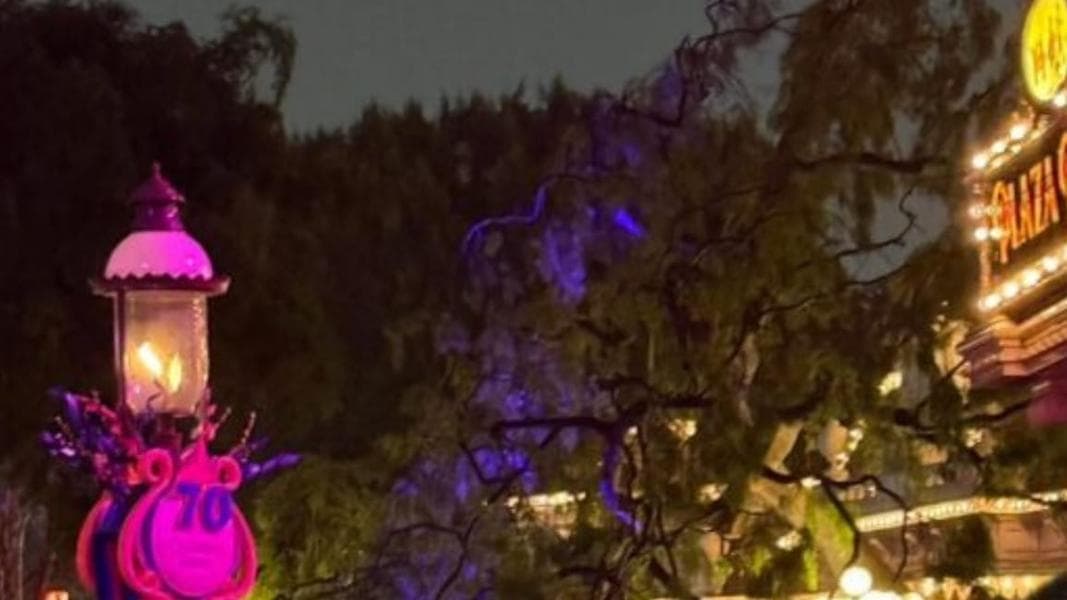 Tree Falls on Main Street, U.S.A. During Sweethearts Nite at Disneyland