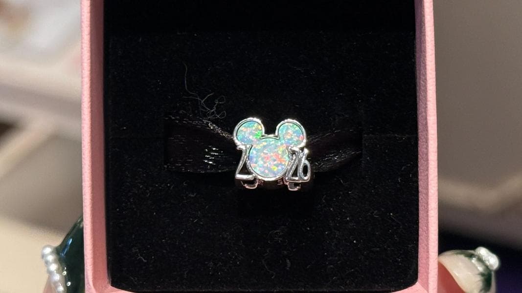 Universal Team Member’s Arm & Ribs Fractured in Today’s Daily Recap for 12/18/2025