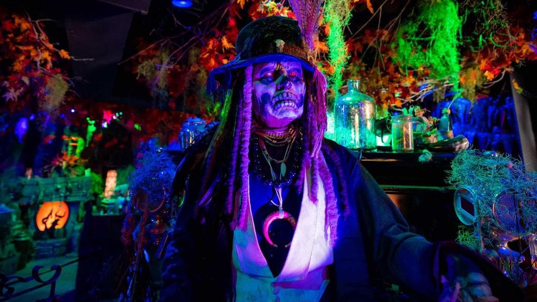 A New Tribute Store, Mardi Gras Updates, and Iron Gwazi Officially Opening: Your Weekly Theme-Park Recap (January 17 – 23, 2022)