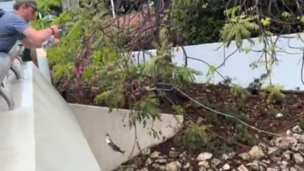 Guest has Gone Fishin’ in EPCOT World Showcase Waterways