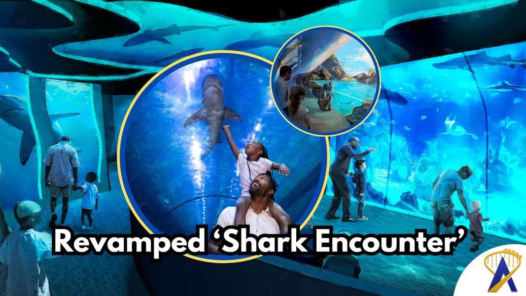 SeaWorld San Diego upgrades ‘Shark Encounter’ with immersive environment and walk-through tunnel
