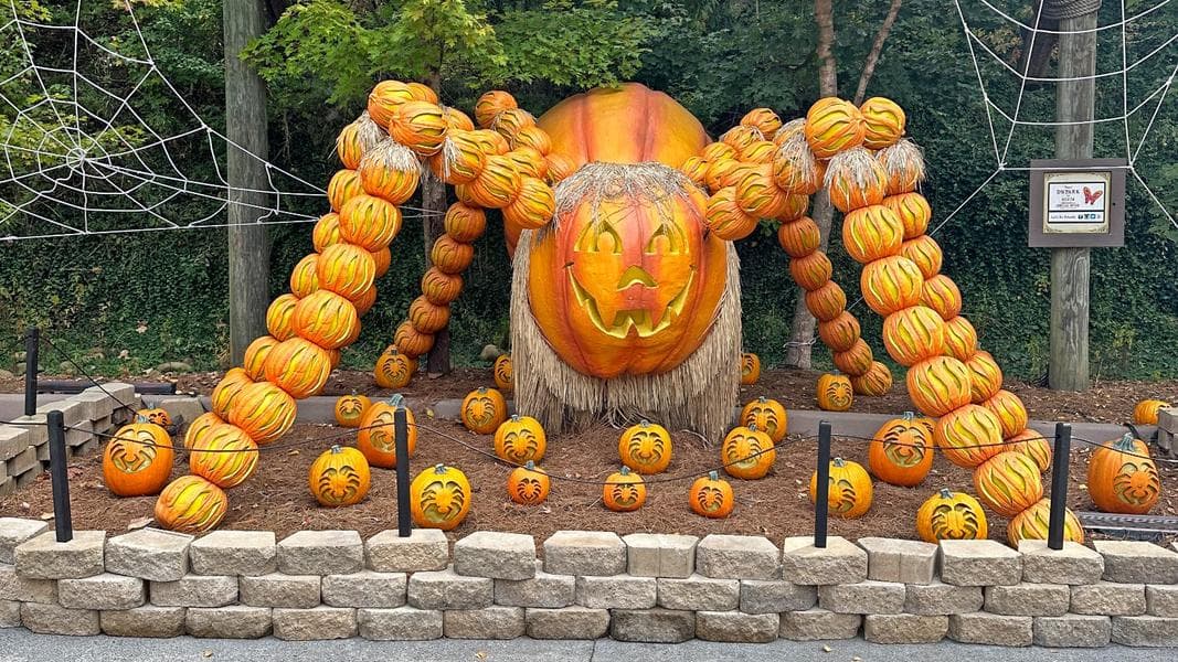 Pumpkins and Coasters Galore at Dollywood Harvest Festival 2023