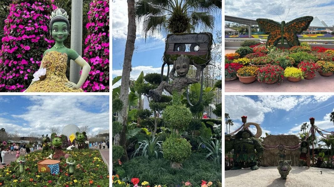 Muppets, Moana, Groot & More Topiaries Arrive at EPCOT for Flower and Garden Festival