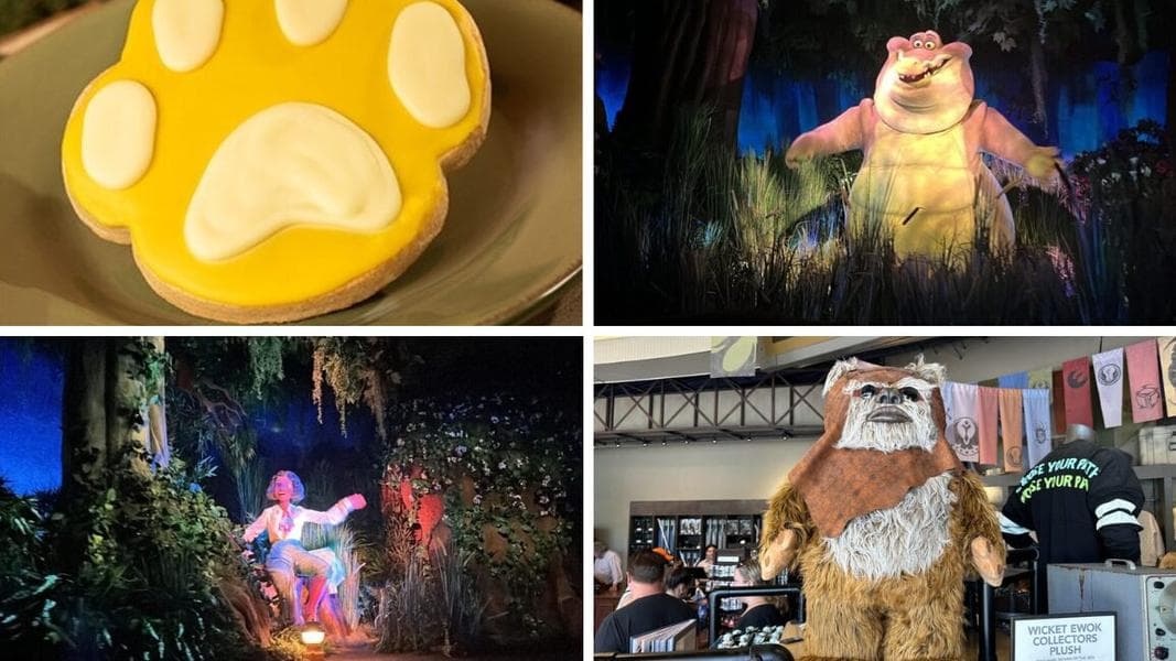Tiana’s Bayou Adventure Full Ride POV and Queue Tour & More: Daily Recap (6/3/24)