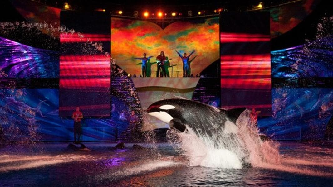 Summer Nights returns to SeaWorld Orlando every night starting June 22