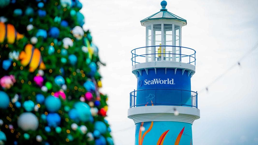 The Best Way to Experience SeaWorld’s Christmas Celebration