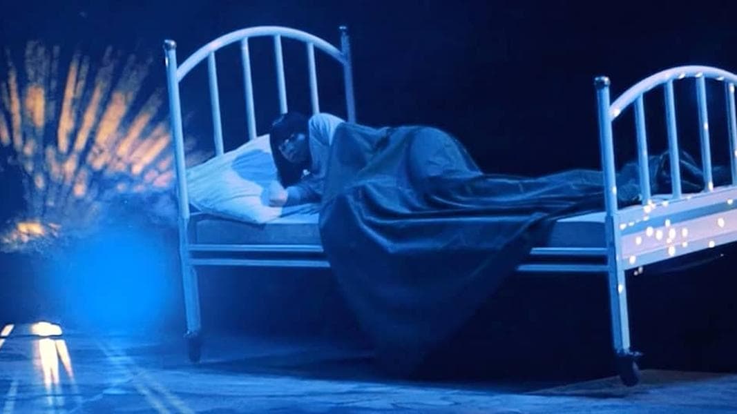 From nightmares to dreams, Efteling adds new show for 2026