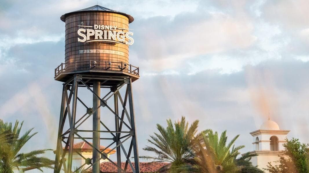 Man Arrested for Leaving Dog in 120-Degree Car at Disney Springs Just Weeks After Puppy Dies in Similar Incident