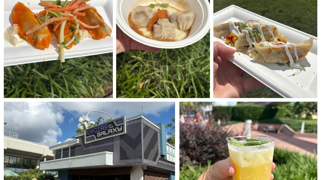 REVIEW: Delightful Dumplings at Gyozas of the Galaxy for 2025 EPCOT International Food & Wine Festival