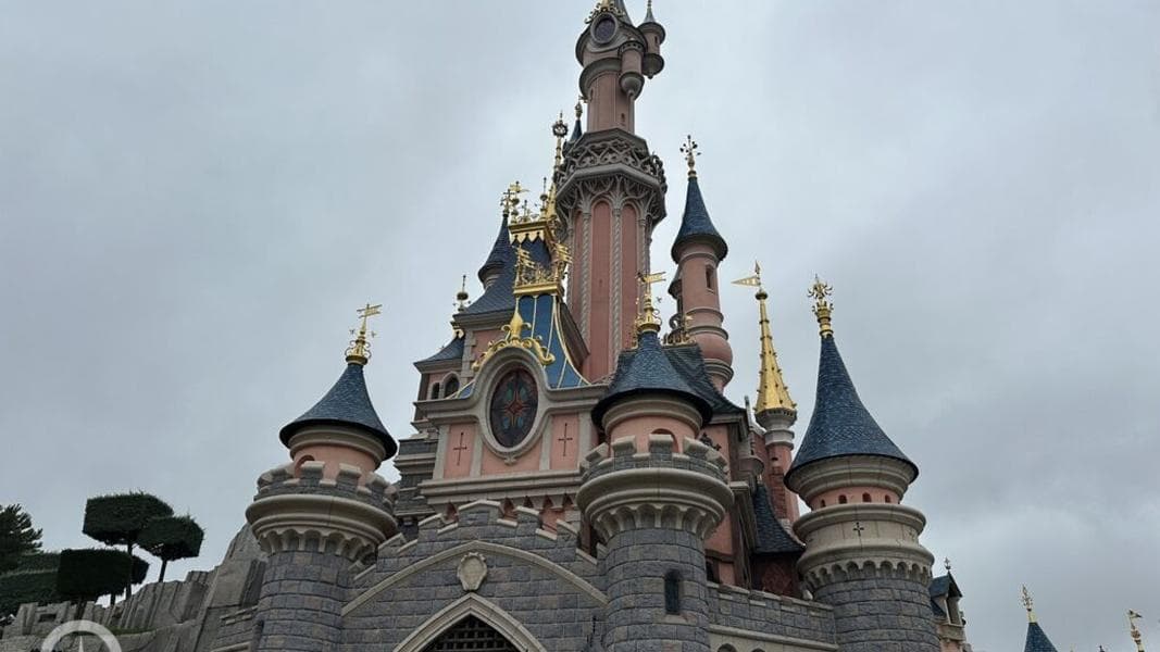 Sleeping Beauty Castle LED lights removed