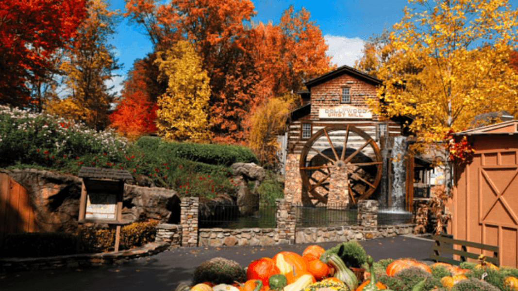 NEWS: Disney Takes Second Place in New Theme Park Survey — #1 Will Surprise You!