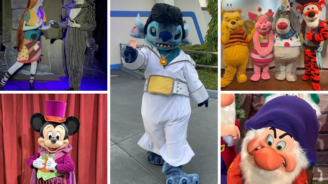 PHOTOS, VIDEO: Jack Skellington & Sally, Stitch, Princesses, and More Character Meet and Greets at Mickey’s Not-So-Scary Halloween Party 2023