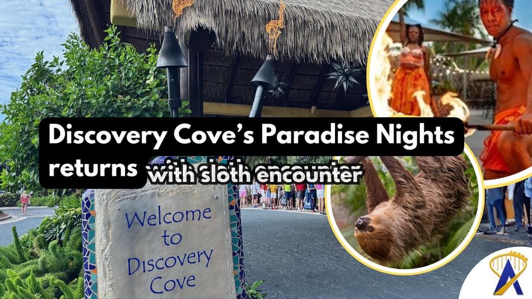 Paradise Nights at Discovery Cove returns with dinner, entertainment, and new sloth encounter