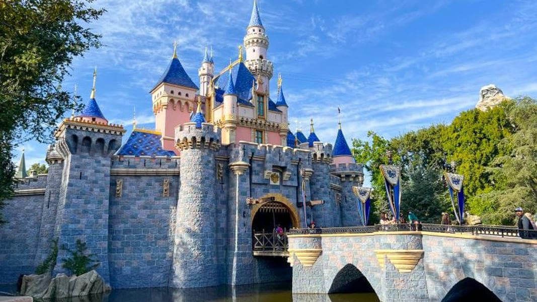 50 Easy Tricks That Make Disneyland So Much Better